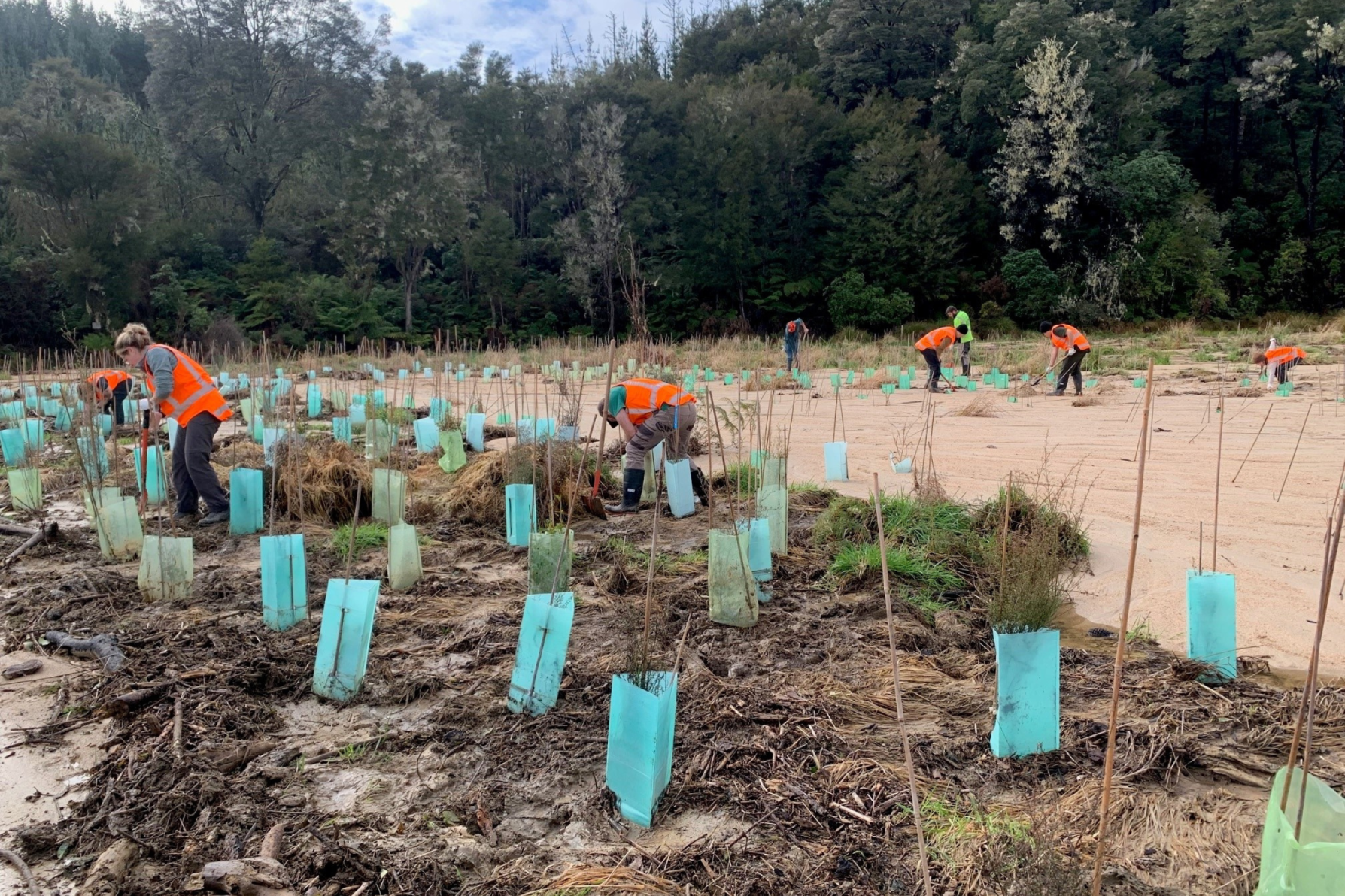 FloodCleanup webLarge
