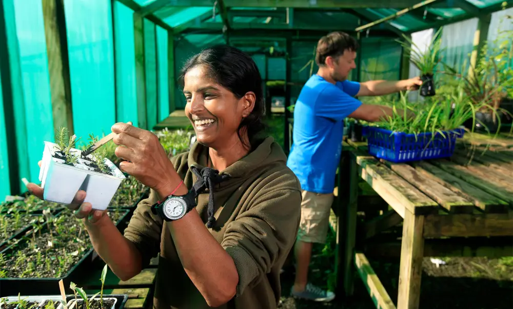 Certificate in Horticulture Production level 4